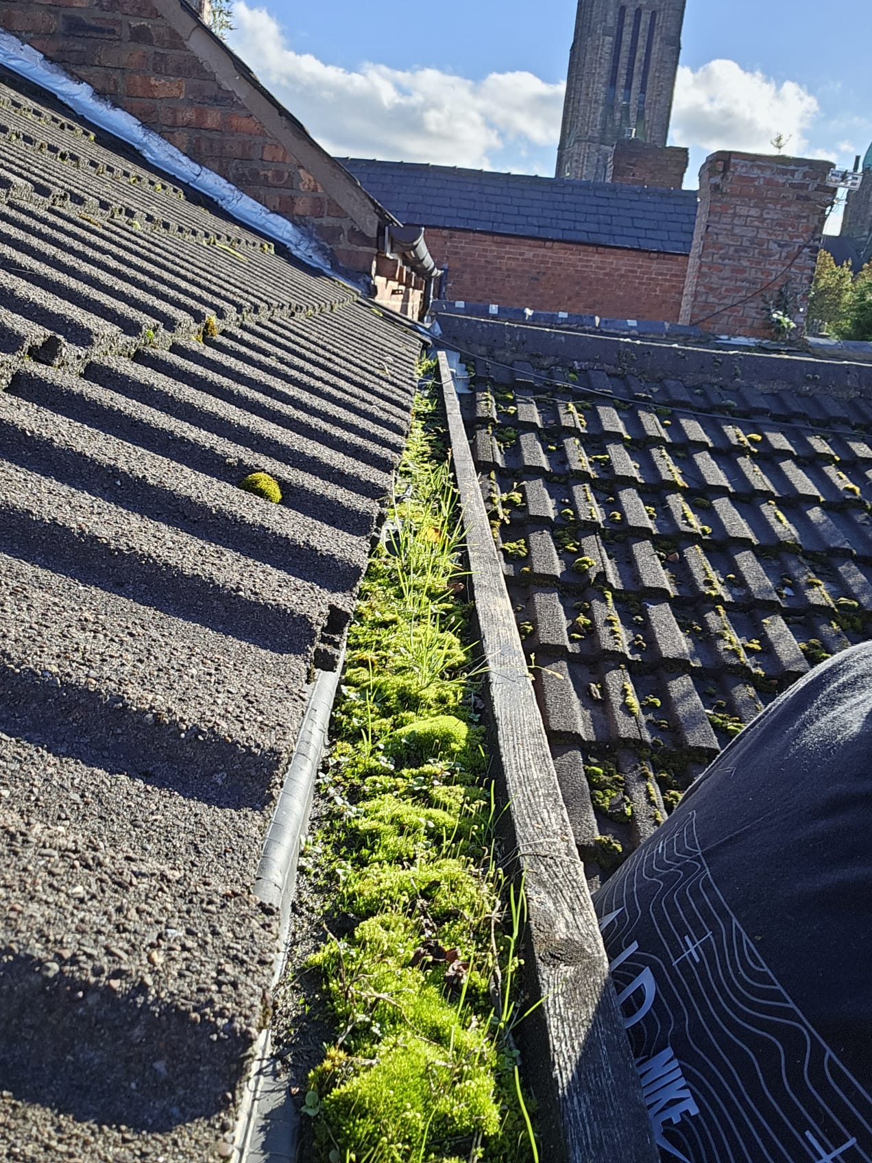 Gutter choked with moss and weeds before cleaning